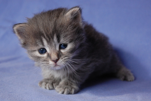 Qunami, 3 Wochen.jpg